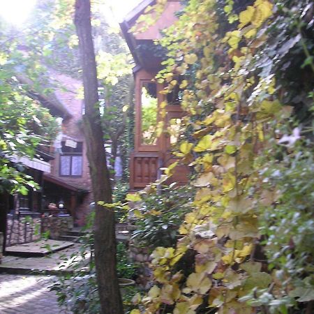 Gite Le Riesling ベルクハイム エクステリア 写真