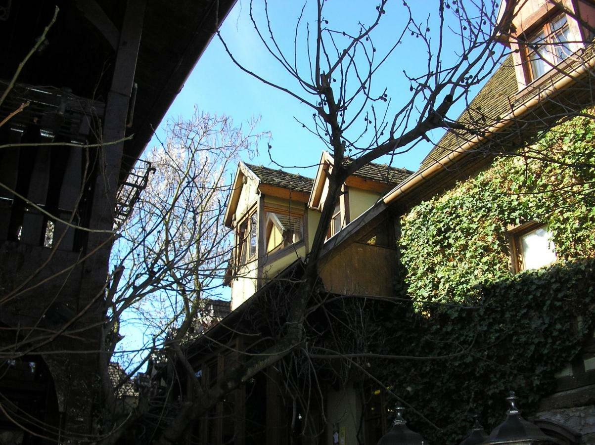 Gite Le Riesling ベルクハイム エクステリア 写真